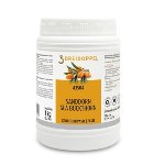 Sanddorn Konditoreipaste