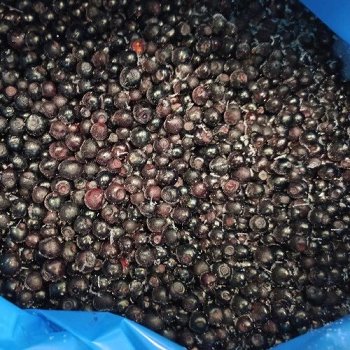 TK-Heidelbeeren wild