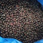 TK-Heidelbeeren wild