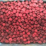 TK-Himbeeren serbisch