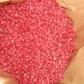 TK-Johannisbeeren rot