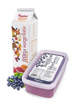 TK-Heidelbeer Püree 10% Zucker