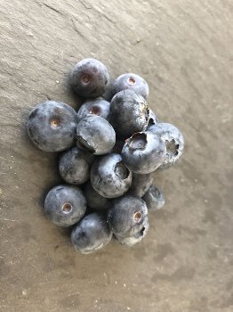 TK-BIO Heidelbeeren