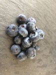 TK-BIO Heidelbeeren