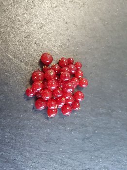 TK-BIO Johannisbeeren rot