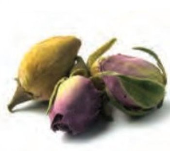 Rosen-Knospen (150g)