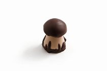 @ Praline Champion Bolet (lose Ware) M100 SA*