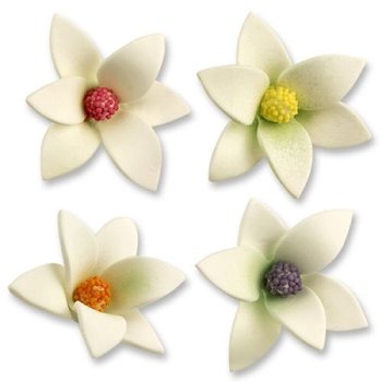 @ Feinzuckerblumen 2463 weiss sortiert (48 Stk)