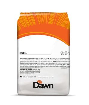 Quelli Kaltsaftbindemittel (2 x 2,5 kg)