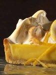 Obstkuchendecke Silvia (2 x 2,5 kg)