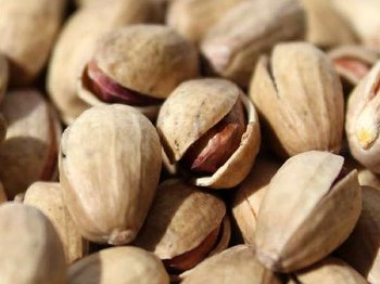BIO Pistazien | Pistacchio Paste