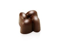Gießformen für Pralinen | Pralinengießformen