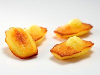@ Silikon-Matte | -Form 44 Madeleines | Bärentatzen | Muscheln (60x40cm)