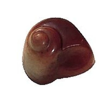 Gießform Praline | Pralinengießform Schnecke 35-tlg - RESTBESTAND