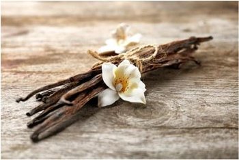 Vanille | Vaniglia Bourbon Paste