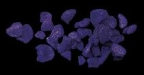 Veilchenblütenblätter blau-violett, kristallisiert