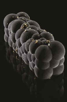 @ Silikon-Matte | -Form | Einzel- | Kuchenform rechteckig 'Atomic'