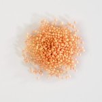 @ Nonpareilles orange