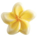 @ Schoko-Dekor Aufleger weiß Blumen 'Tiaré' (192 Stk)
