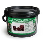 @ Brombeeren (400g)