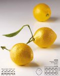 @ Silikon-Matte | -Form 8 Zitronen 'Individuel' (1/3GN =17,5x30cm)