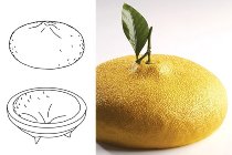 @ Silikon-Matte | -Form | Einzel- | Kuchenform rund Zitronen-Form 'Citron'