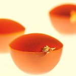 @ Schoko- | Dessert- | Pralinen-Schalen Halbkugel groß weiß karamelisiert (60 Stk)