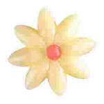 @ Schoko-Dekor Aufleger weiß Blume | Gänseblümchen mittel (176 Stk)