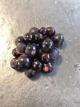 @ TK-BIO Johannisbeeren schwarz