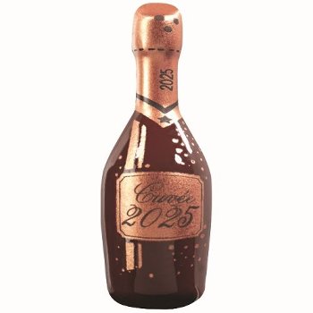@ Gießform-Blister für Champagnerflasche '2025' (2 Blister für 130 Stk)