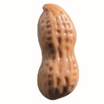 @ Schoko-Dekor Aufleger Erdnuss weiß karamellisiert (192 Stk)