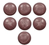 @ Gießform Praline | Pralinengießform Fossilien