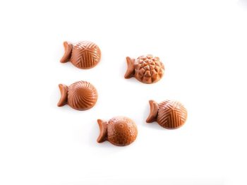 @ Gießform für Kugelfische (12 Formen für 288 Stk)