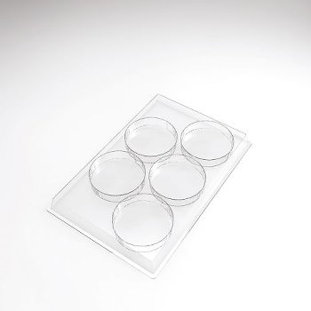 @ Formen für Süßspeisen 'Palet' (30 Formen für 150 Stk)