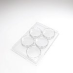 @ Formen für Süßspeisen 'Palet' (30 Formen für 150 Stk)