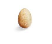 @ Schokoladen-Ei weiß 'Oeuf de poule'' (ca.30g)