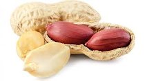 BIO Erdnuss | Arachide Paste geröstet