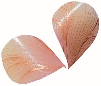 @ Schoko-Dekor Aufleger weiß Blütenblätter gewölbt pastell-rosa (392 Stk)