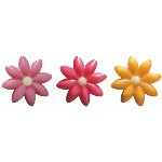 @ Schoko-Dekor Aufleger weiß Blume | Gänseblümchen groß 'Acidulé' (117 Stk)