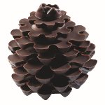 @ Gießform-Blister für Kiefernzapfen (2 Blister für 12 Stk)