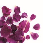 @ Rosenblütenblätter klein violett gefriergetrocknet (2g)