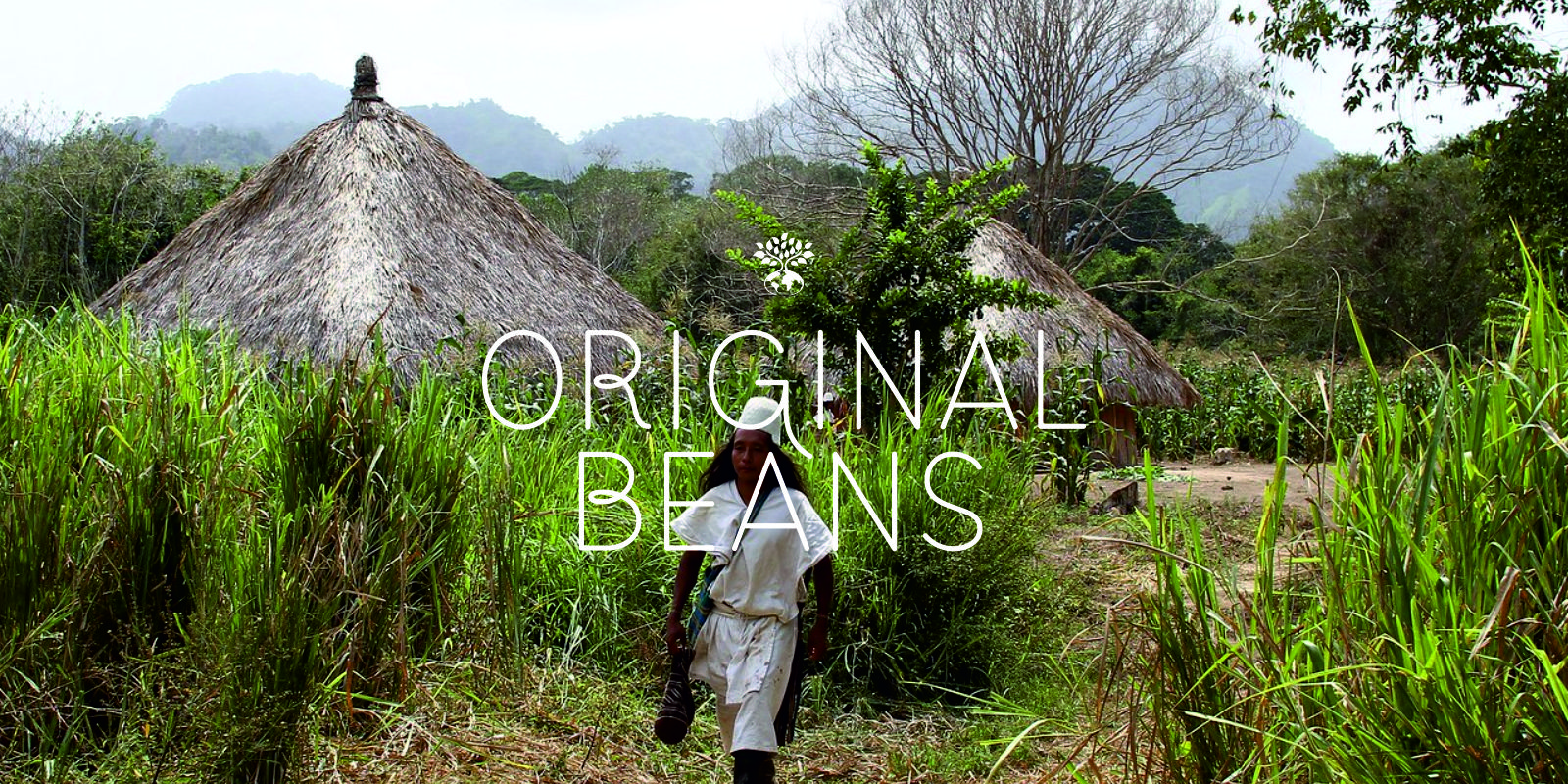 Original Beans